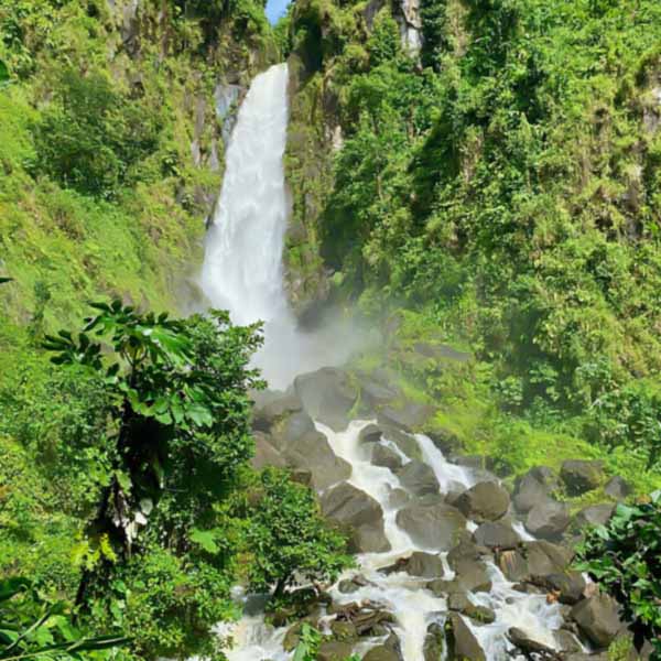 Dominica: Healthcare Experiences in the Tropics