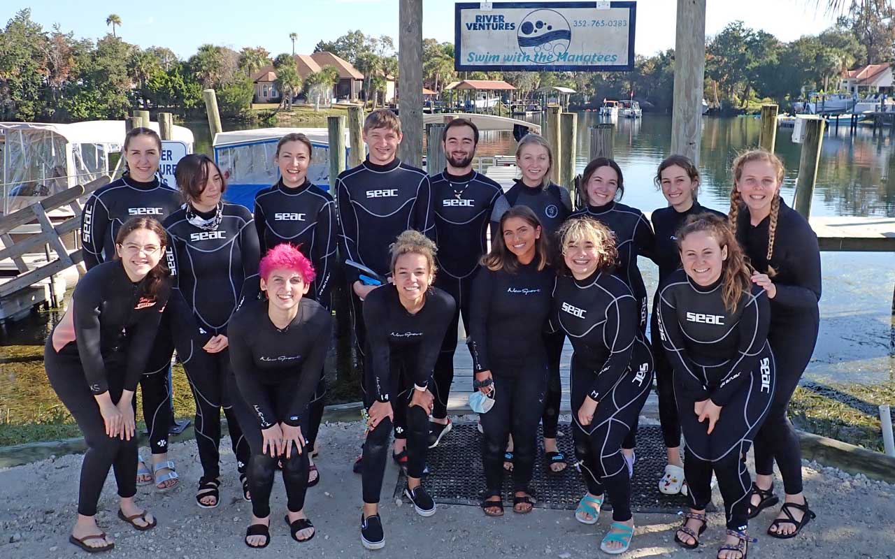 manatee group photo