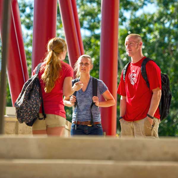 13 - You've Been Selected:  Attending and Thriving at Admitted Student Days