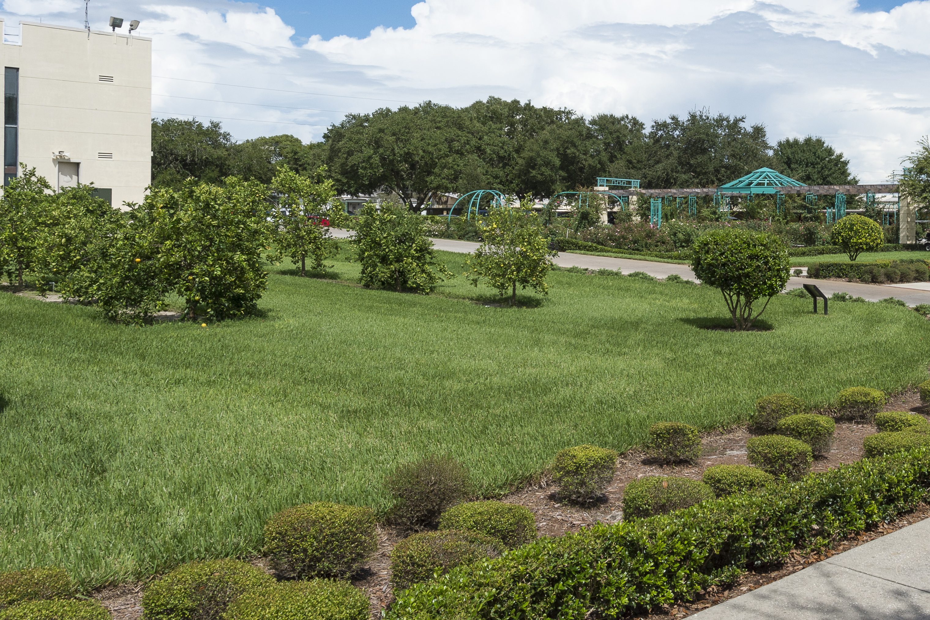 Dr. James P. DePass Citrus Grove